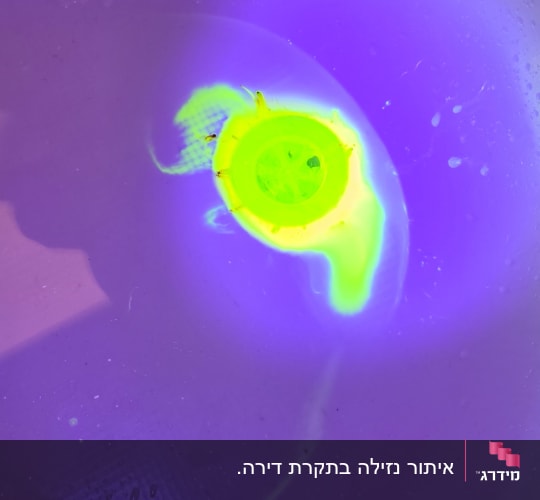 תמונה של נזילה בצבעים זוהרים תחת תאורה מיוחדת